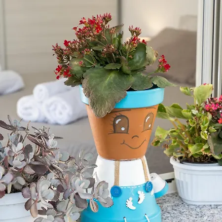Domo Bonaeras *