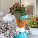 Domo Bonaeras * Irgoli